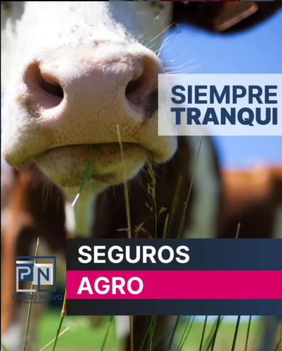 Seguros Agro