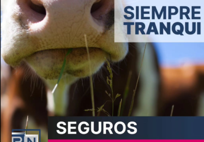 Seguros Agro