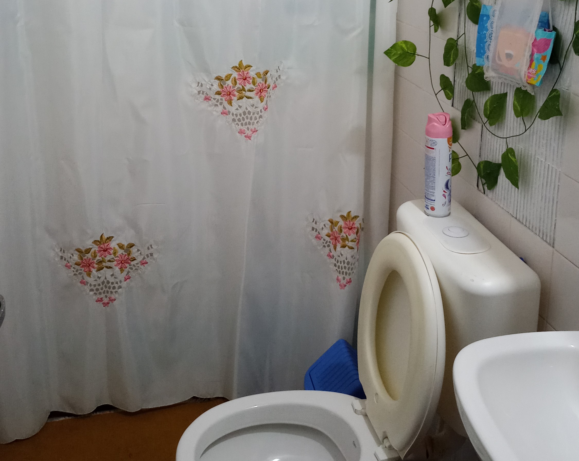 VENDO o PERMUTO por Vehículo + USD, una CASA en Posadas Mnes.