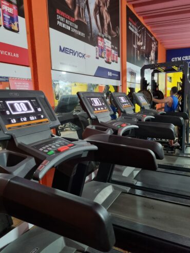Servicio Tecnico de Cintas para Correr Profesional STF Servicios