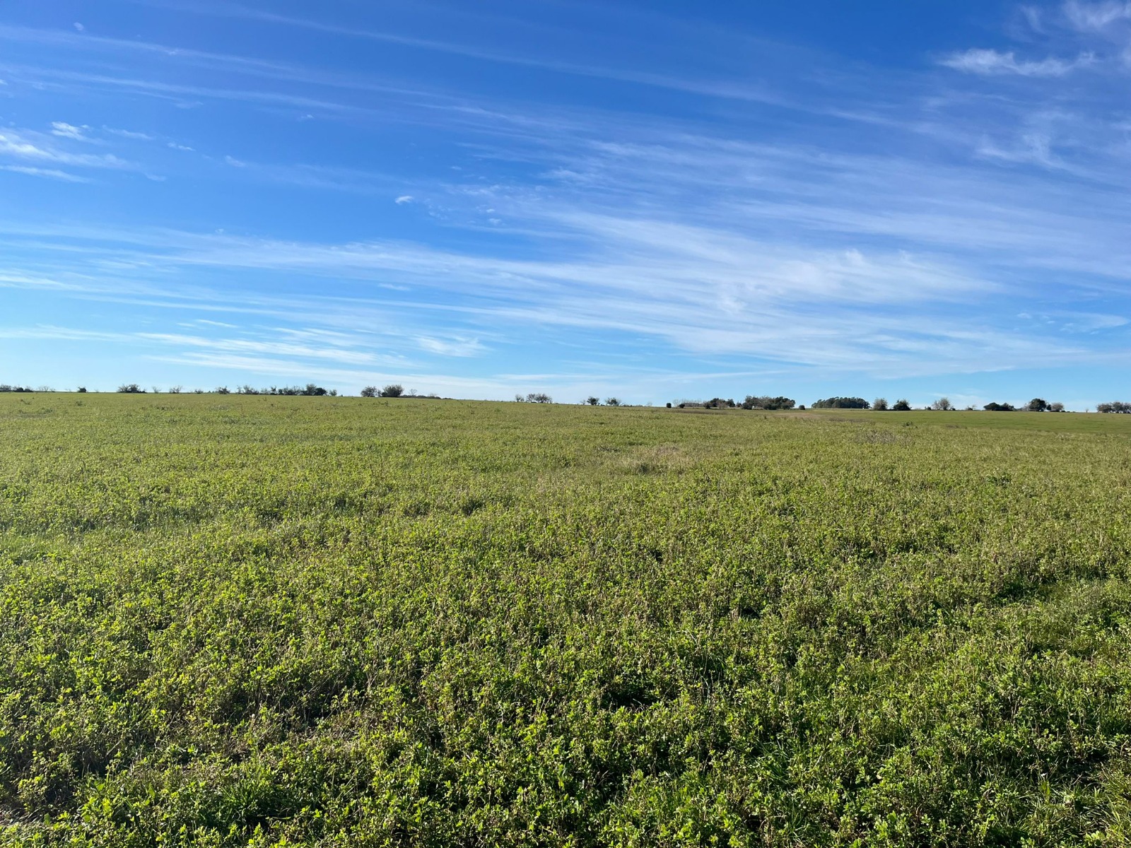 Campo en Venta en Uruguay. Florida. Estancia completa.