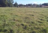 1 Hectarea en Villa Mantero