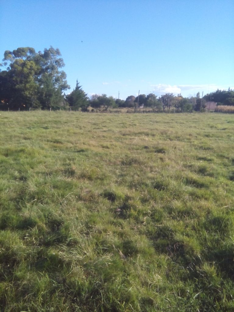 1 Hectarea en Villa Mantero