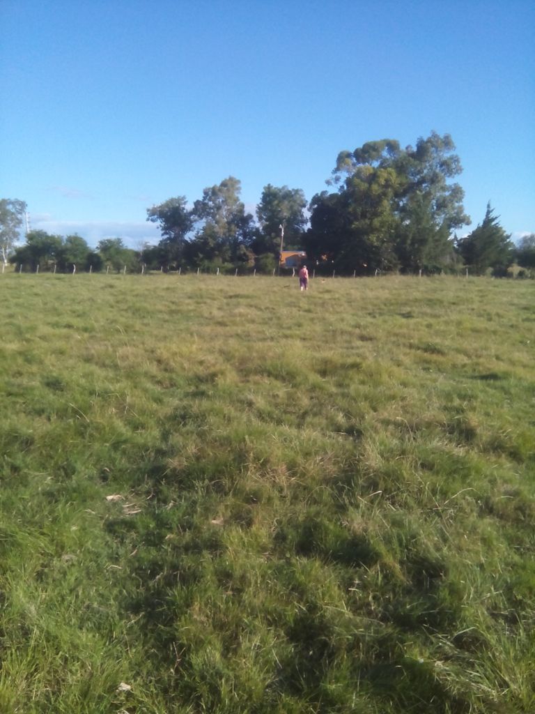 1 Hectarea en Villa Mantero