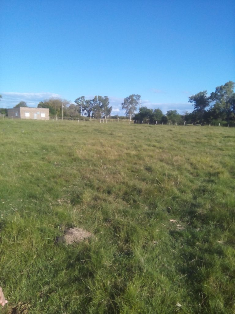 1 Hectarea en Villa Mantero