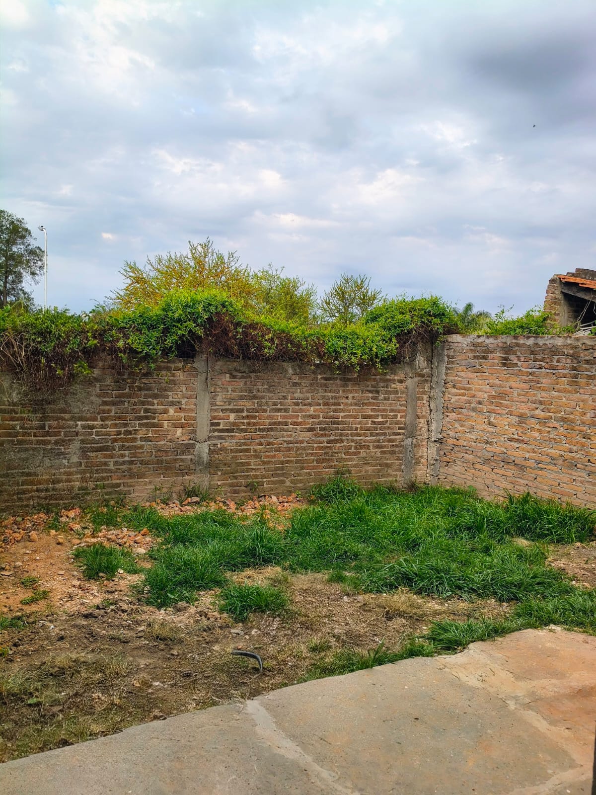 Departamento planta baja en venta